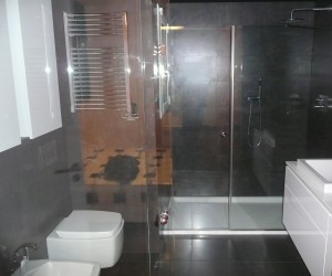 Obra baño completo. Reforma 2012